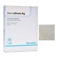 Image of Dermarite DermaGinate® Ag Alginate Wound Dressing with Antibacterial Silver, 4" x 5"
