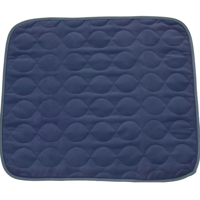 Image of Beck's Classic Decorative Chair Pad 21" x 22", Re-Usable