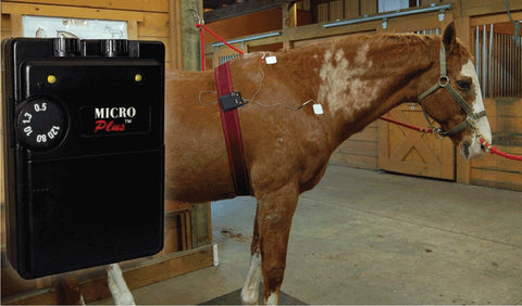 Micro Plus Microcurrent Electrical Nerve Stimulator Two Channel Analog ...