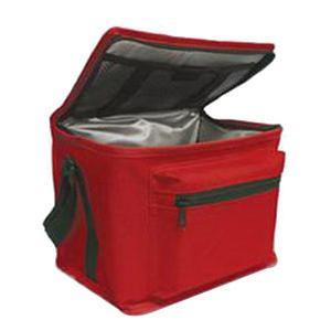 Image of Premium Insulated Bio Transport Cooler