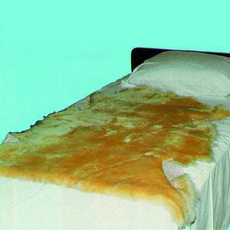 Image of Sofsheep Sheepskin Pad, 3 ft. x 2-1/2 ft., Beige